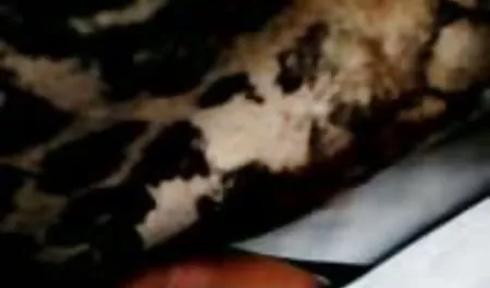La reunión sexo tetonas maduras de los amantes de hotel